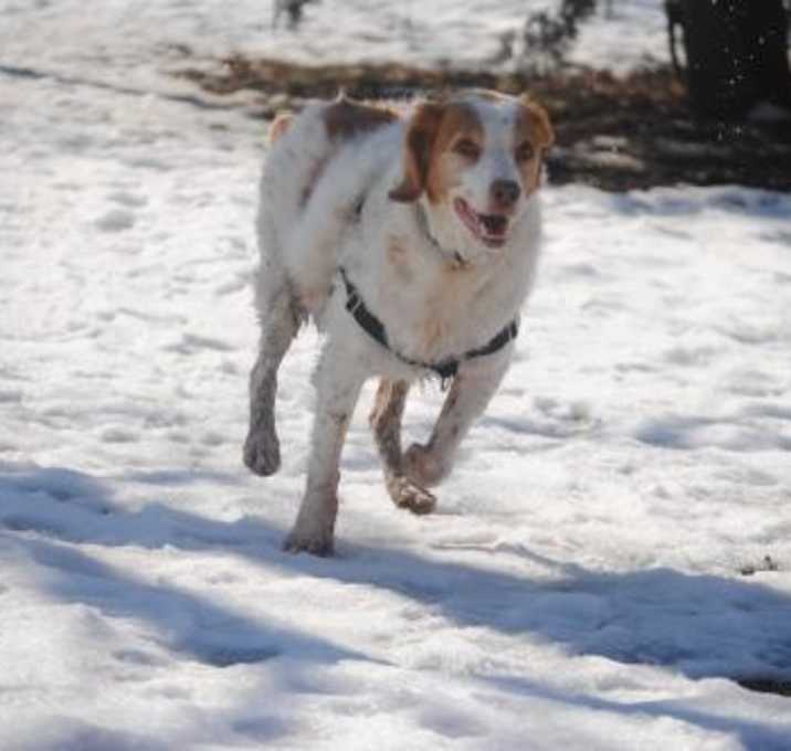 Photo of ON/Britta (bonded to ON/Becca)