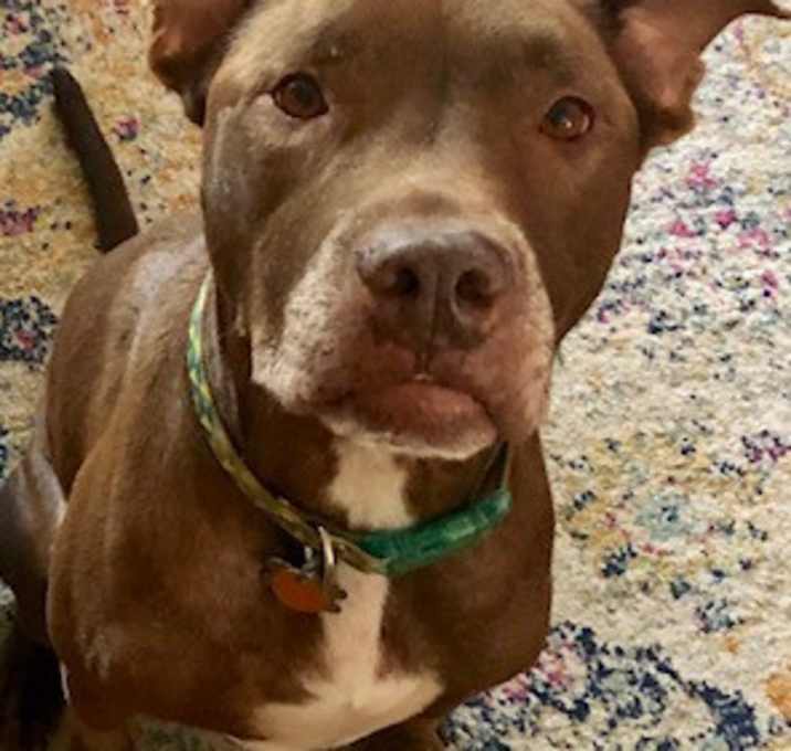 Photo of Charlie Brown