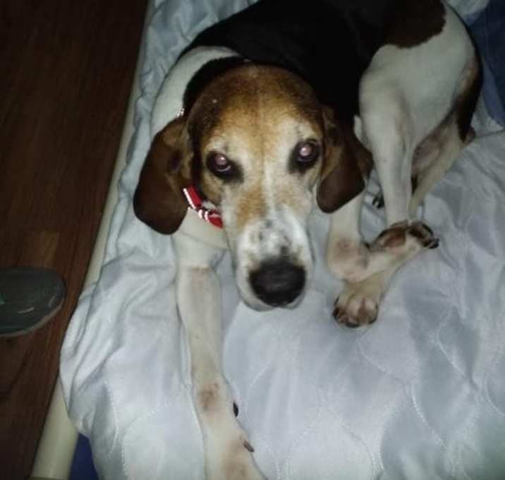 Photo of Lilly Belle