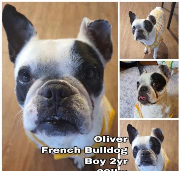 Photo of Oliver from Korea