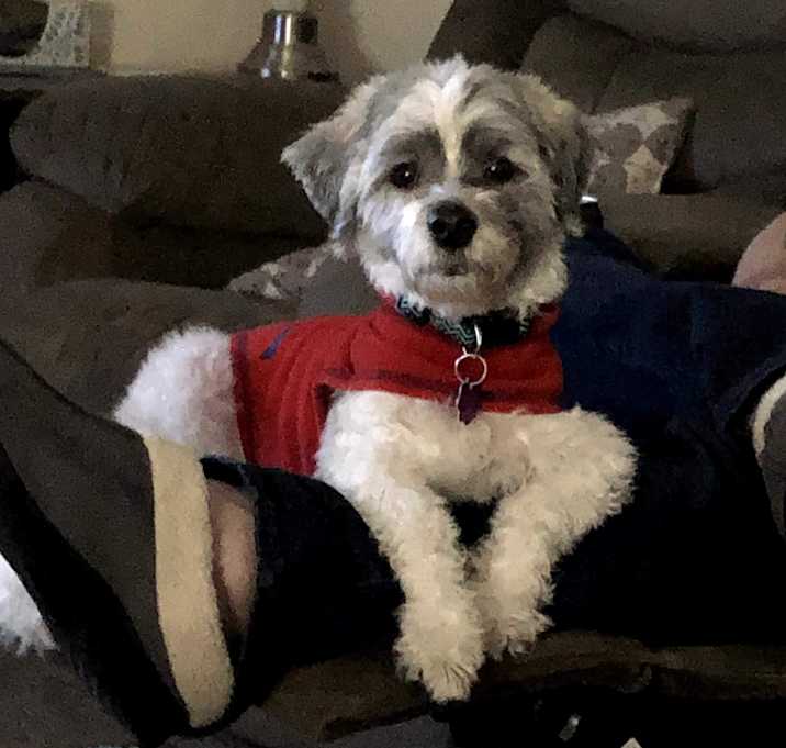 Photo of Newman (PENDING)