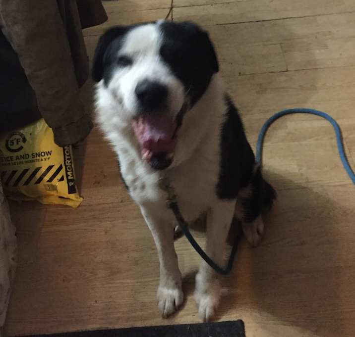 Photo of Zenith (Zen)