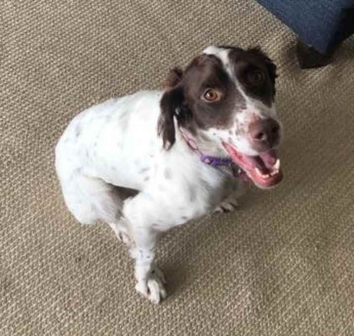 Photo of WA/Bandit (UT)