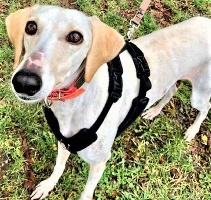 Photo of Thaiba, playful & adorable!