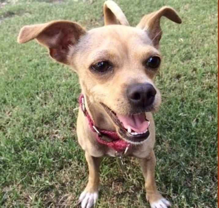 Photo of Little Belle