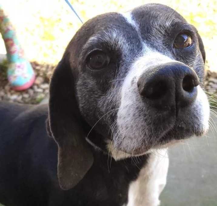 Photo of Stevie Tick MJA in MS