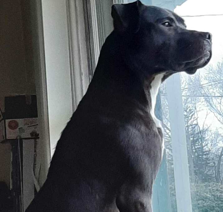 Photo of DUMARS - Foster Home