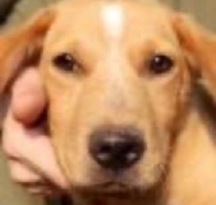 Photo of Aquarius AC