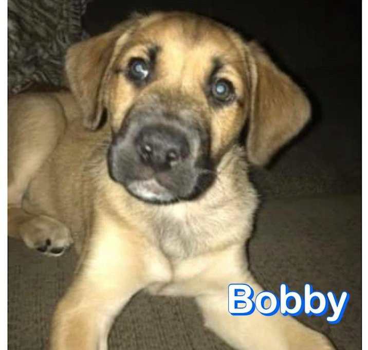 Photo of Bobby