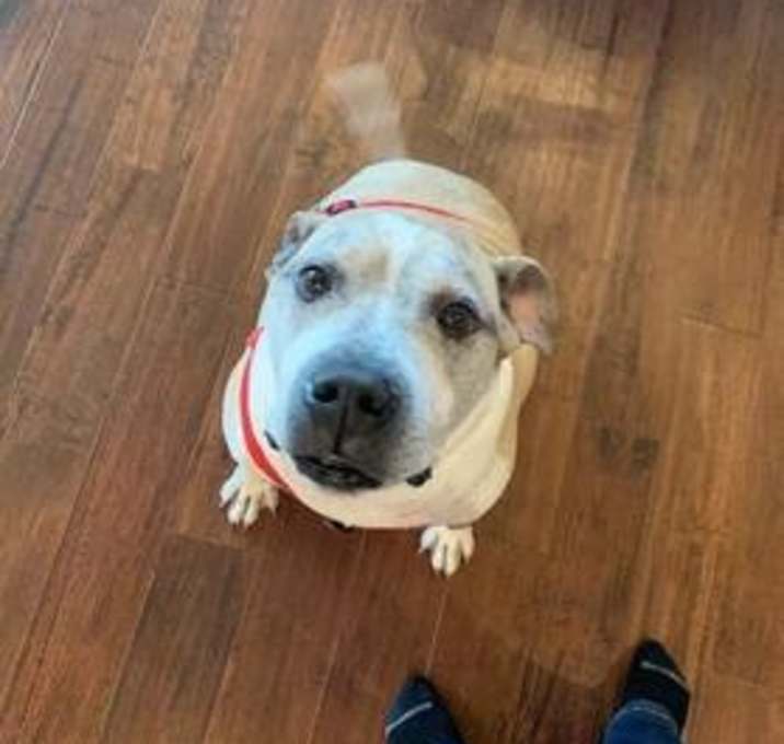 Photo of Sam  or Sammy