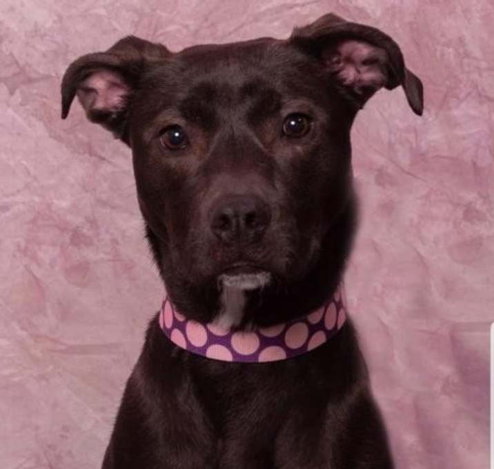 Photo of Tuukka D4974