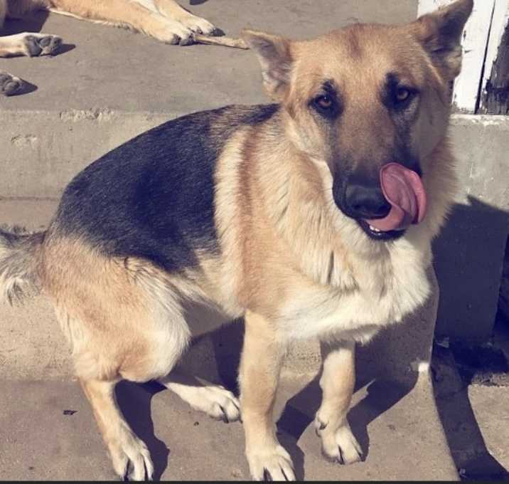 Photo of Mila Damián