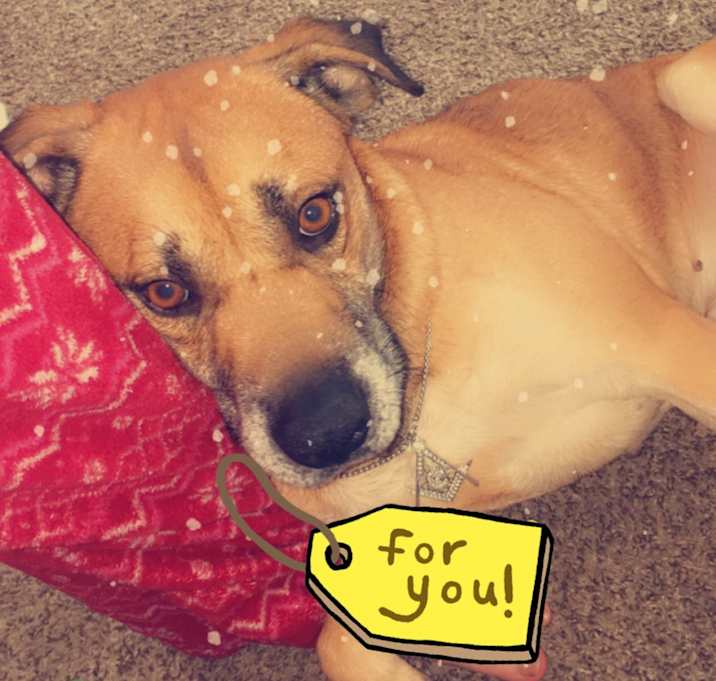 Photo of Snoop Dawgg