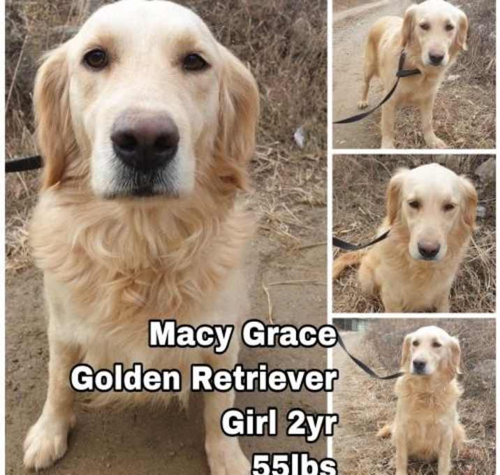 Photo of Macy Grace from Korea