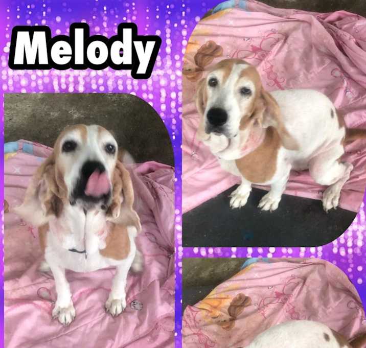 Photo of Melody & Taino