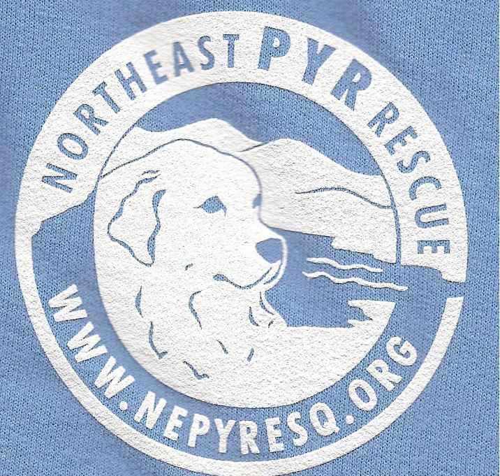 Photo of INCOMING SURRENDERS