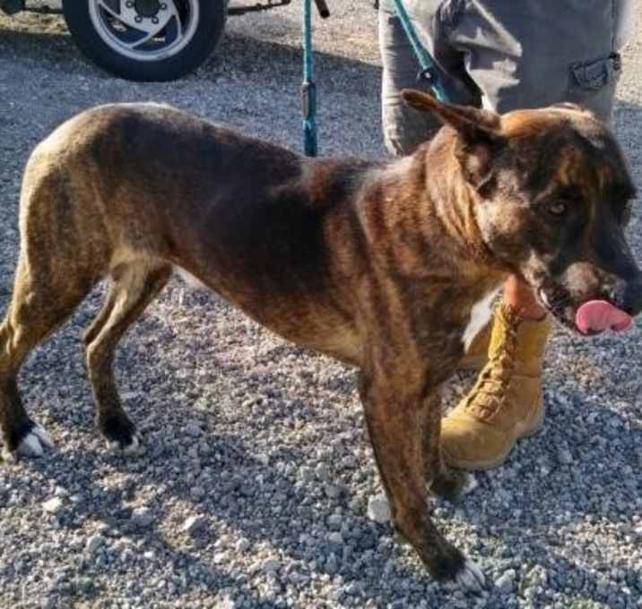 Photo of Henri Meyer