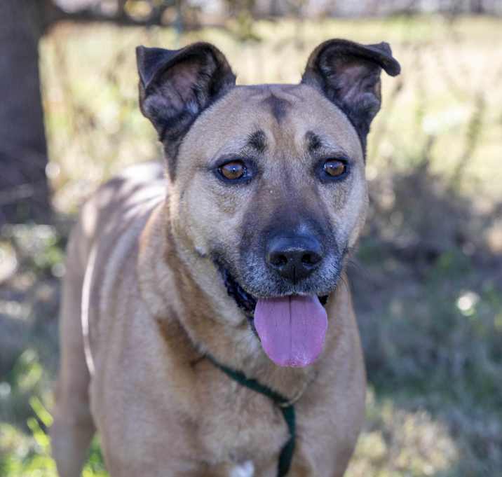 Photo of Patty - SWEET BABY