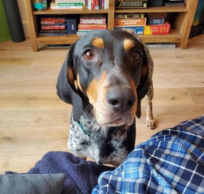 Photo of Mousesack the Druid