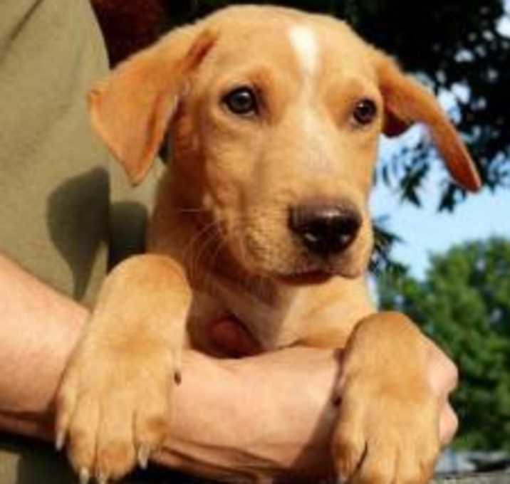 Photo of Aquarius AC