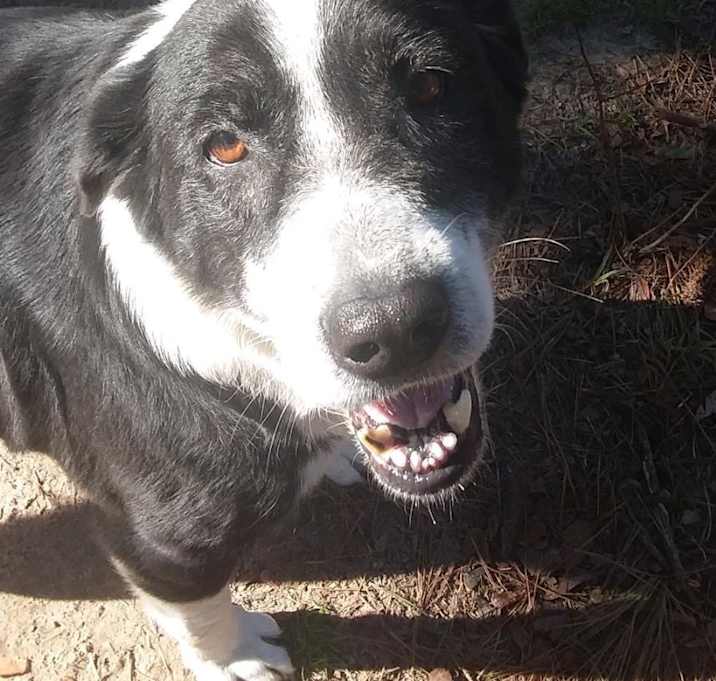 Photo of Bunnie and Patty