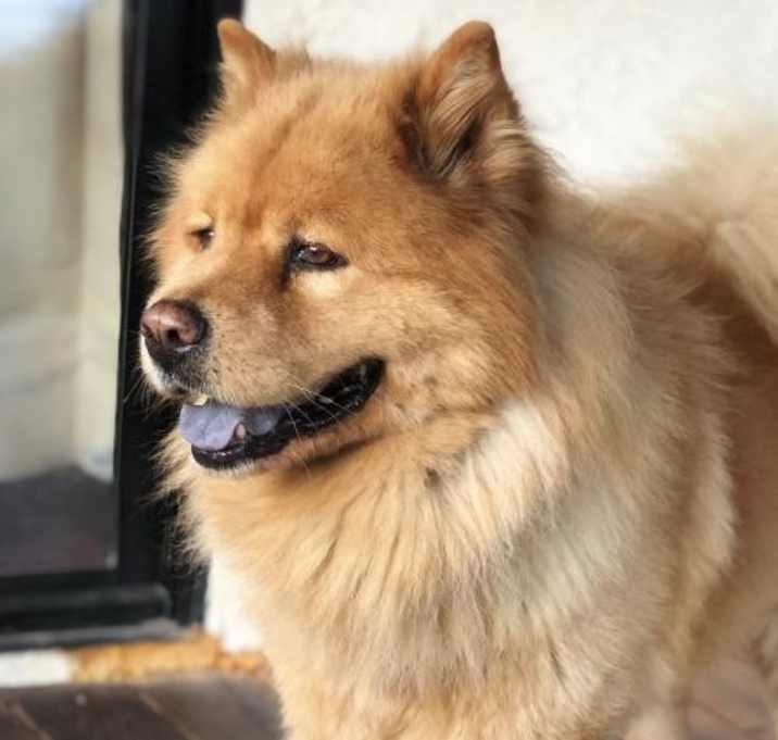 Photo of Christopher