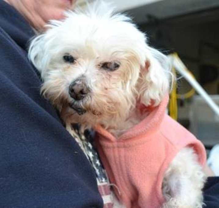 Photo of Penelope Meyer