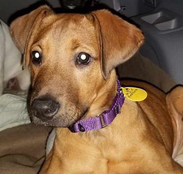 Photo of Leon Roscoe