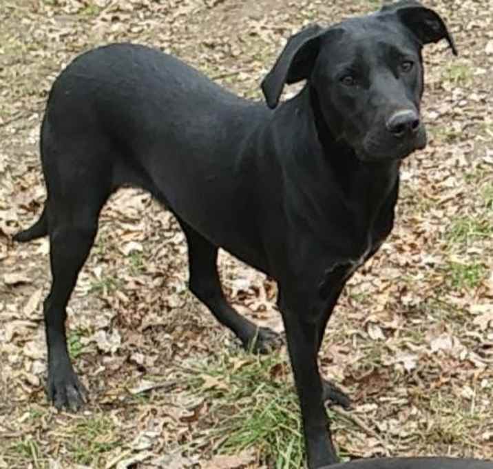 Photo of LH13 Bailey