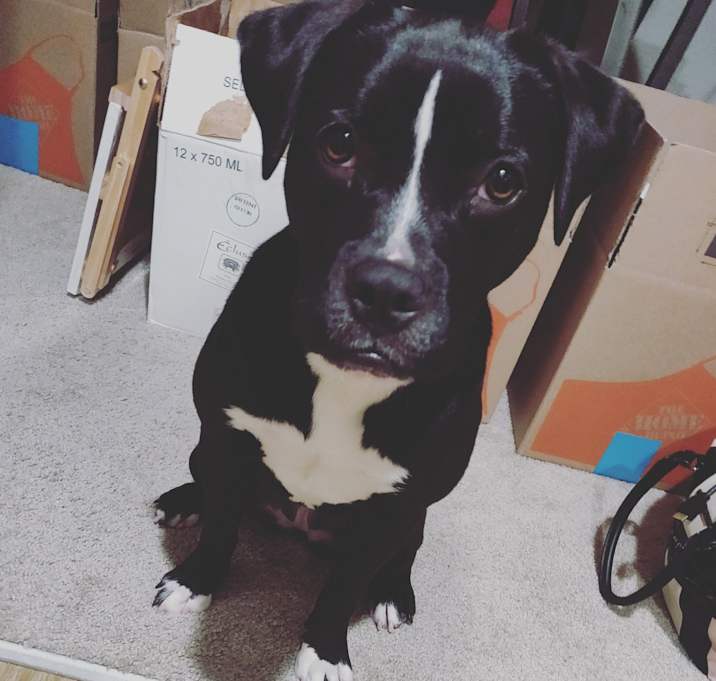 Photo of Mamacita "mamas"