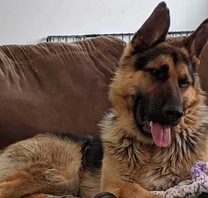 Photo of MAX Now Available