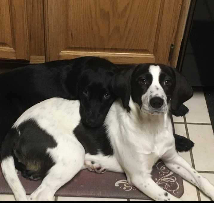 Photo of Biggie and Molly