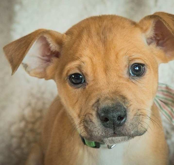 Photo of Byron (NOW GREEN Previously Dark Green)