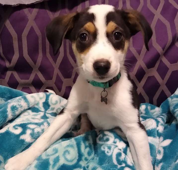 Photo of Haley James