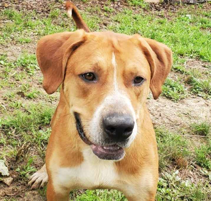 Photo of HANDSOME TOMMY <3