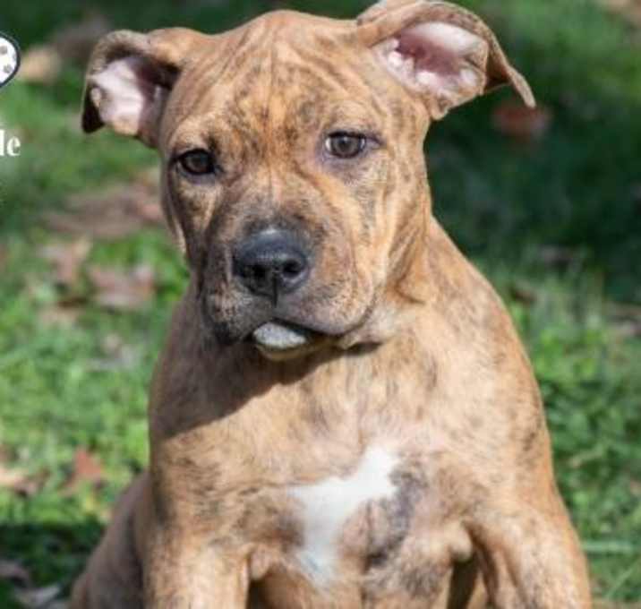 Photo of Gabrielle Union