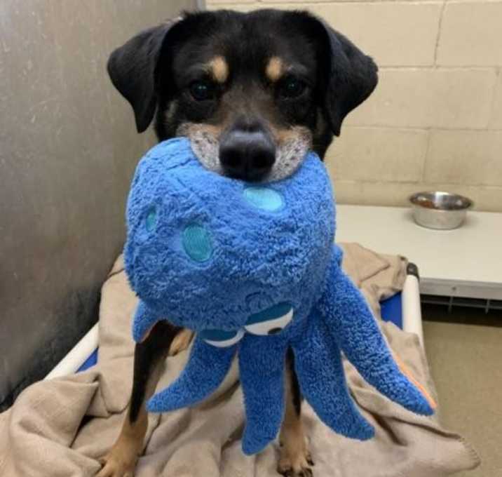 Photo of *in Foster Care* Hudson