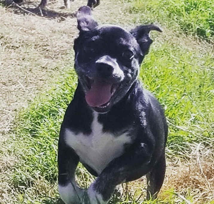 Photo of Biggie Smalls NR