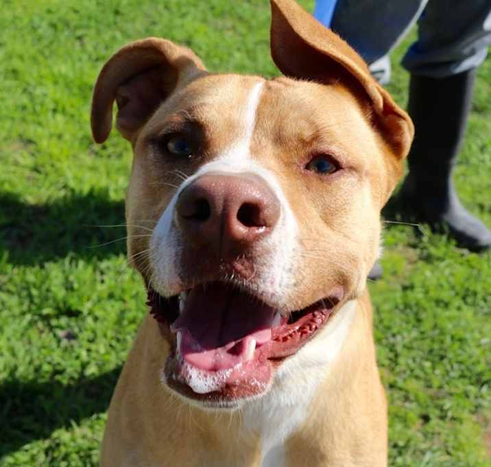 Photo of Rusty Bucket JuM