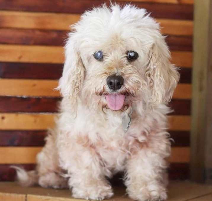 Photo of Whoopie &#10084;&#65039;&#128139;