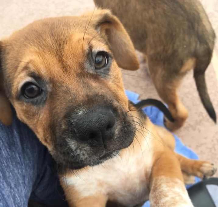 Photo of Champagne Cade