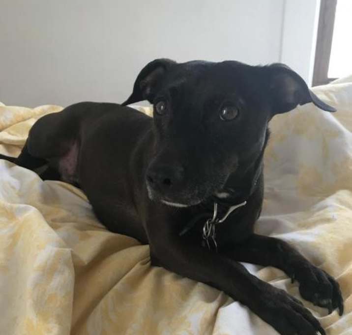 Photo of Trooper D5034