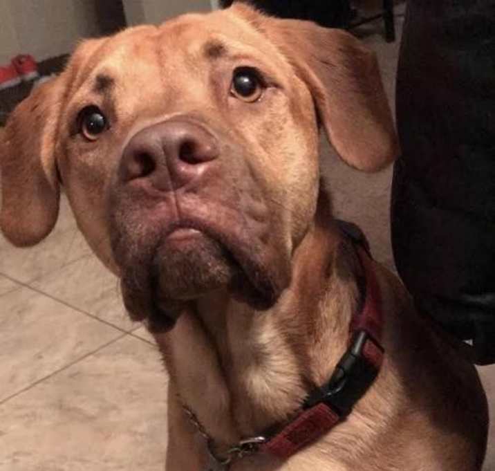 Photo of Jonesy D3122