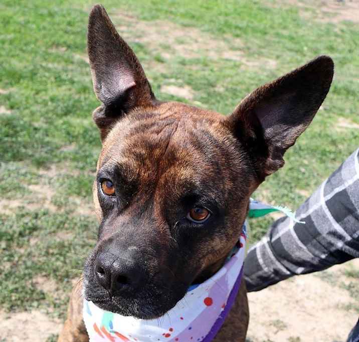 Photo of Bradley JuM