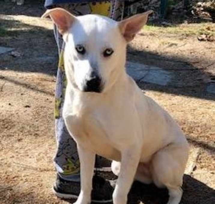 Photo of Azure(Luna)