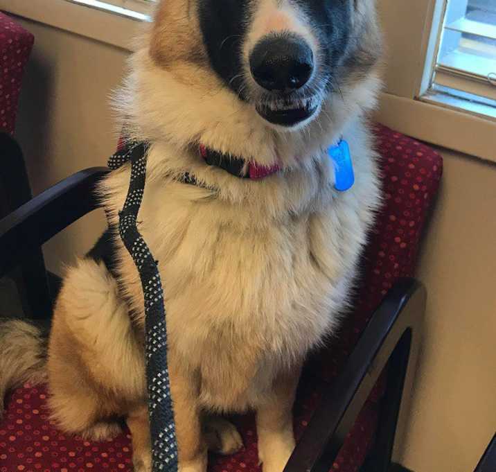 Photo of Shakira (Updated)