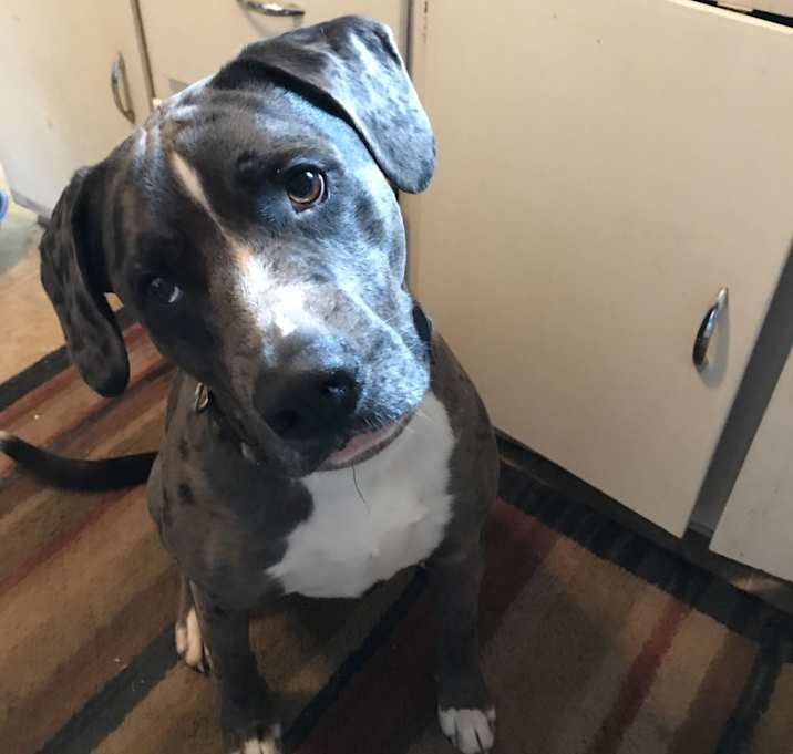 Photo of Bruno Mike (Mr. B)