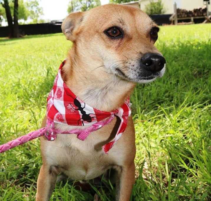 Photo of 50 Cent AKA Jobie JH