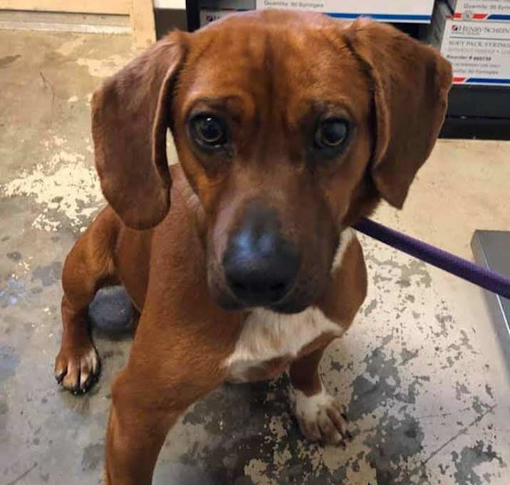 Photo of Jesse James