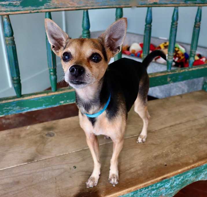 Photo of Mr. Sinatra